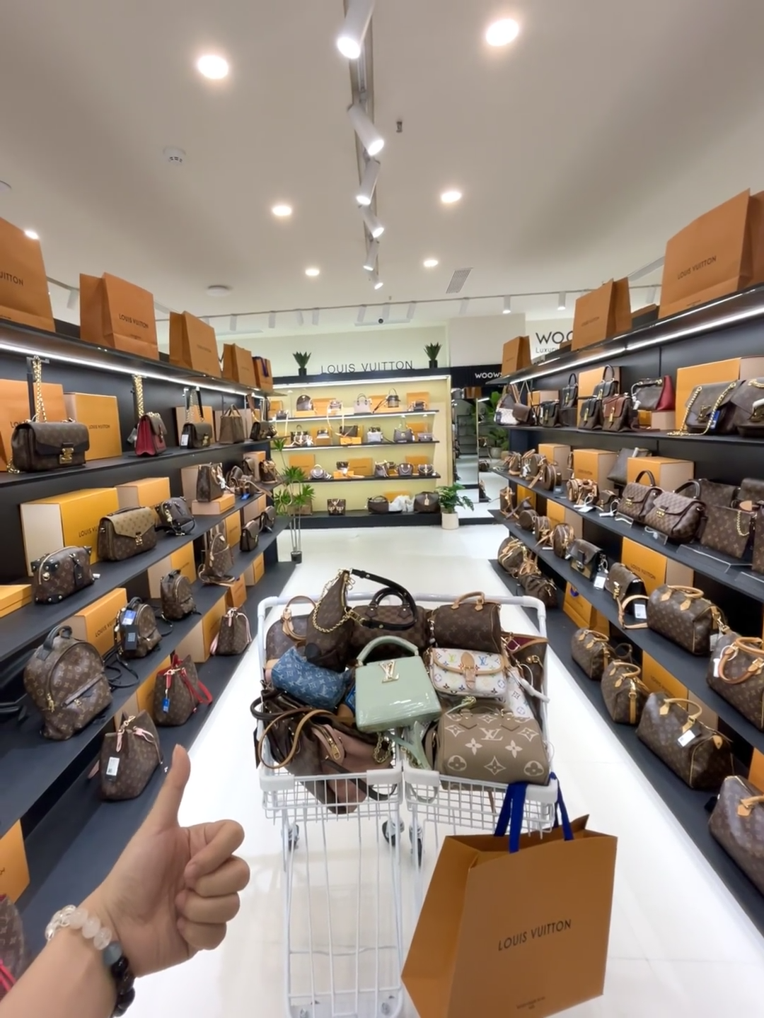 Photograph of handbags displayed on shelves and in a shopping cart